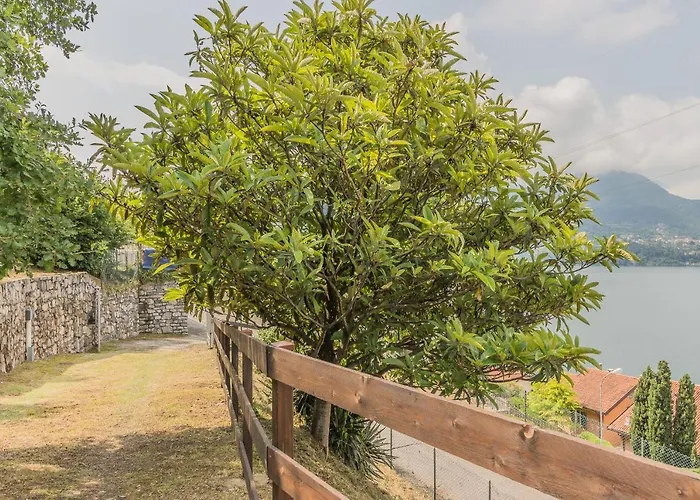 Lisander Lägenhet *