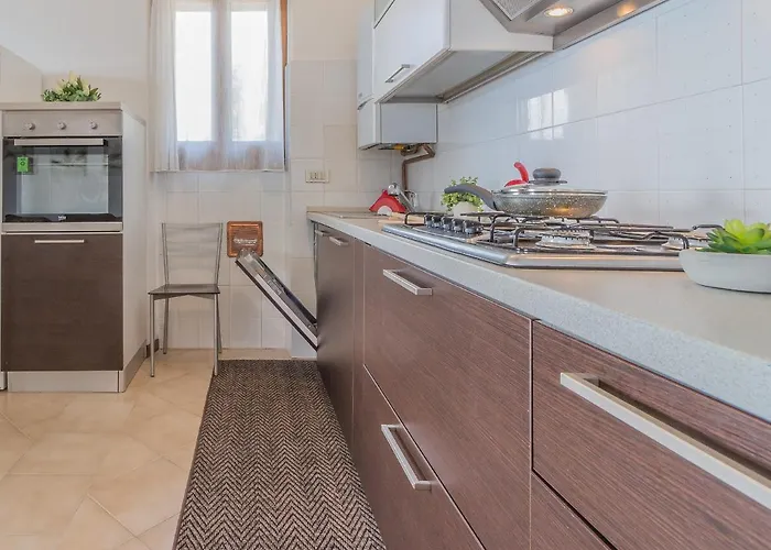 Lisander * 바레나