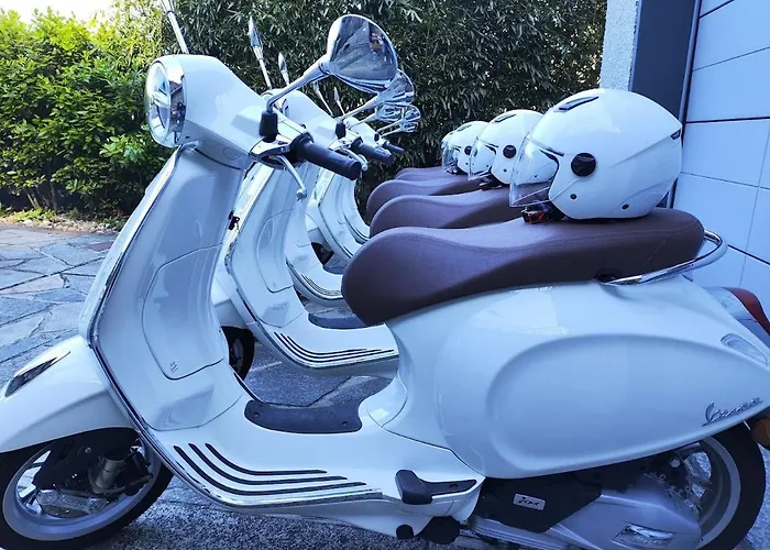 Lisander 아파트 *